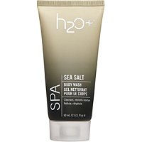 Travel Size Spa Sea Salt Body Wash