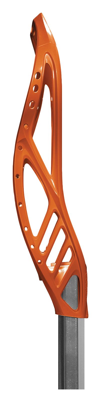 Cobra, Orange with White