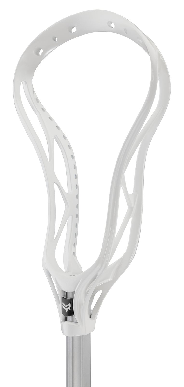 Rabil, White
