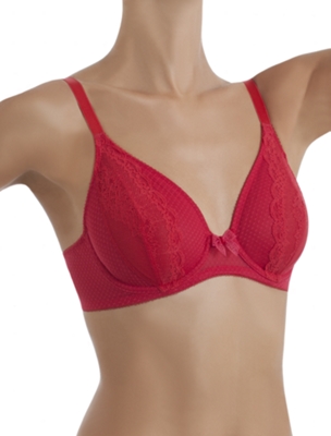 Absolutely Fabulous Underwire Bra 851143