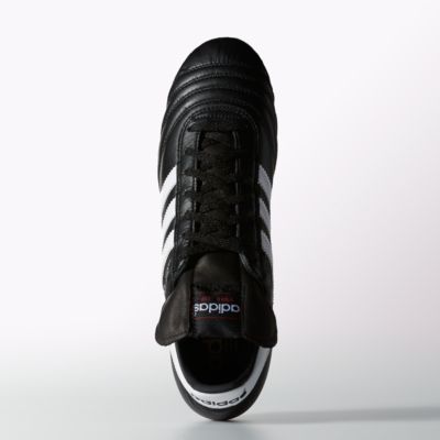 alternate product view