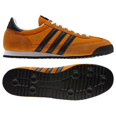 Dragon Shoes