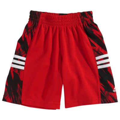 image: adidas Impact Camo Half-Court Shorts Q11138