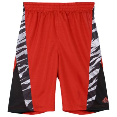 image: adidas Camo Shorts Q12335