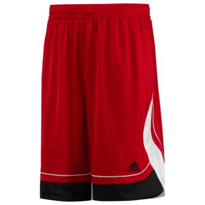 Pro Model 3 Hype Shorts