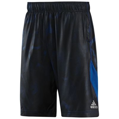 image: adidas Sting Fitted Shorts Z33556