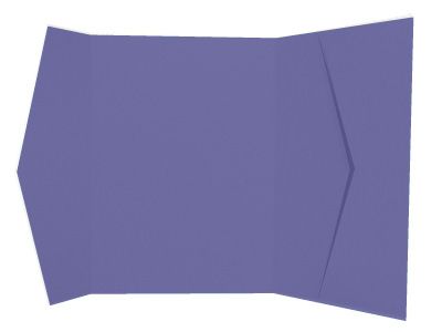 Rockport Pocket - Grape