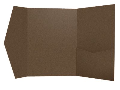 Syracuse Pocket Sample - Bronze