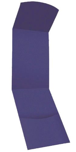 Valencia Pocket Sample - Pansy