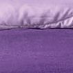 Plum-Lilac