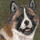 Akita
