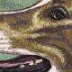 Greyhound