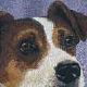 Jack Russell 