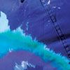Blue-Purple