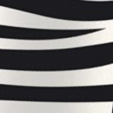 White/Black