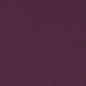 Boysenberry