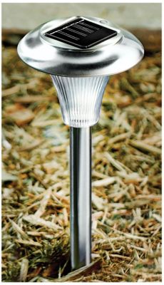 10pk Bridgeport Solar Lights