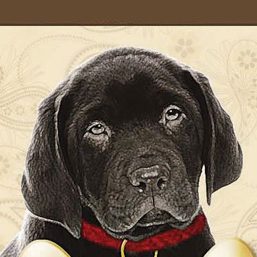 Black Lab
