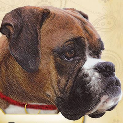 Boxer
