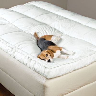 Pillowtop Comfort Down Featherbeds