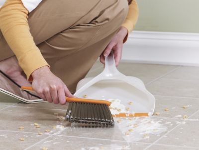 Bissell Dustpan Set