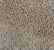 Linen