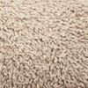 Buckwheat