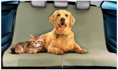 Save 30% Pet Zoom Loungee