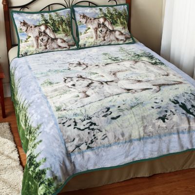 SAVE 45% Hautman Plush Watchful Pause Coverlet Set