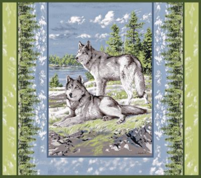 SAVE 45% Hautman Plush Watchful Pause Coverlet Set