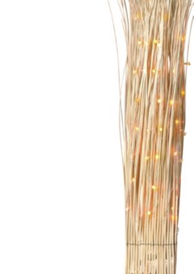 Willow Branches Light
