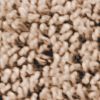 Oxford Tan
