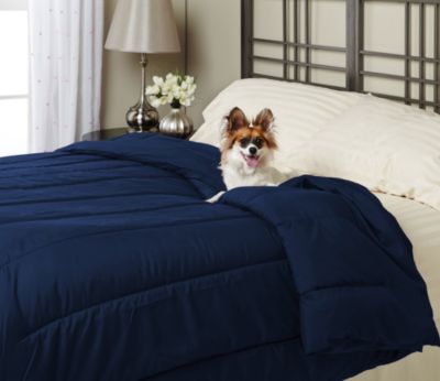 Alt Down Twin Comforter w/ Pillows - Pacific Blue