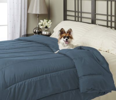 Alt Down Twin Comforter w/ Pillows - Slate Blue