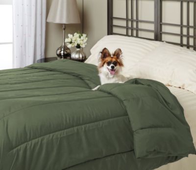 Alt Down Twin Comforter w/ Pillows - Moss