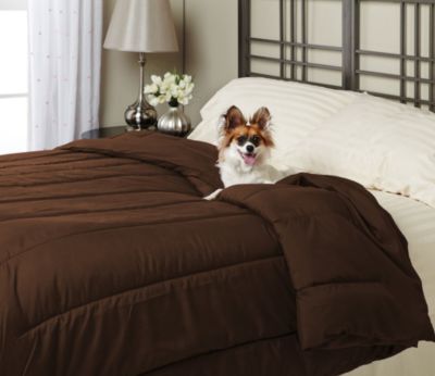 Alt Down Twin Comforter w/ Pillows - Bark
