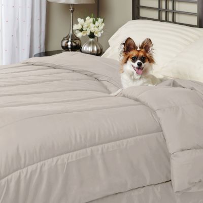Alternative Down Microfiber Comforter