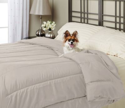 Alt Down Twin Comforter w/ Pillows - Stone