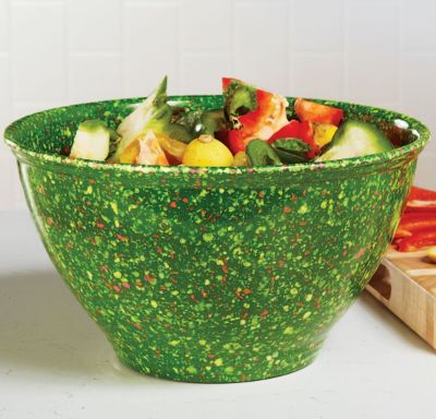 Rachael Ray 10