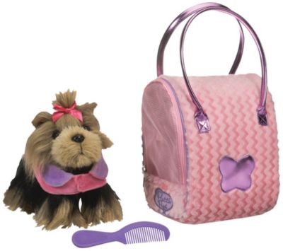 Pucci Pup Yorkie