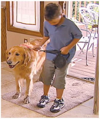 Clean Step Door Mat