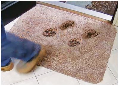 Clean Step Mat