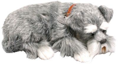 Perfect Petzzz Schnauzer
