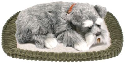 Perfect Petzzz Schnauzer