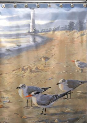 Save 45% Hautman At The Beach Shower Curtain