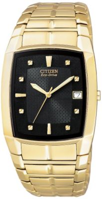 Citizen Men's Eco-Drive SS Gold-Tone Watch
