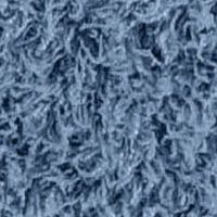 Basin Blue
