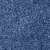 Basin Blue