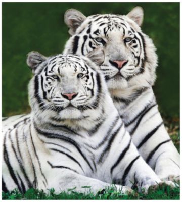 White Tiger Fur Throw + Free Throw
