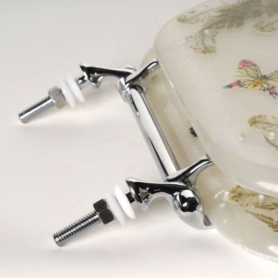 Acrylic Toilet Seat
